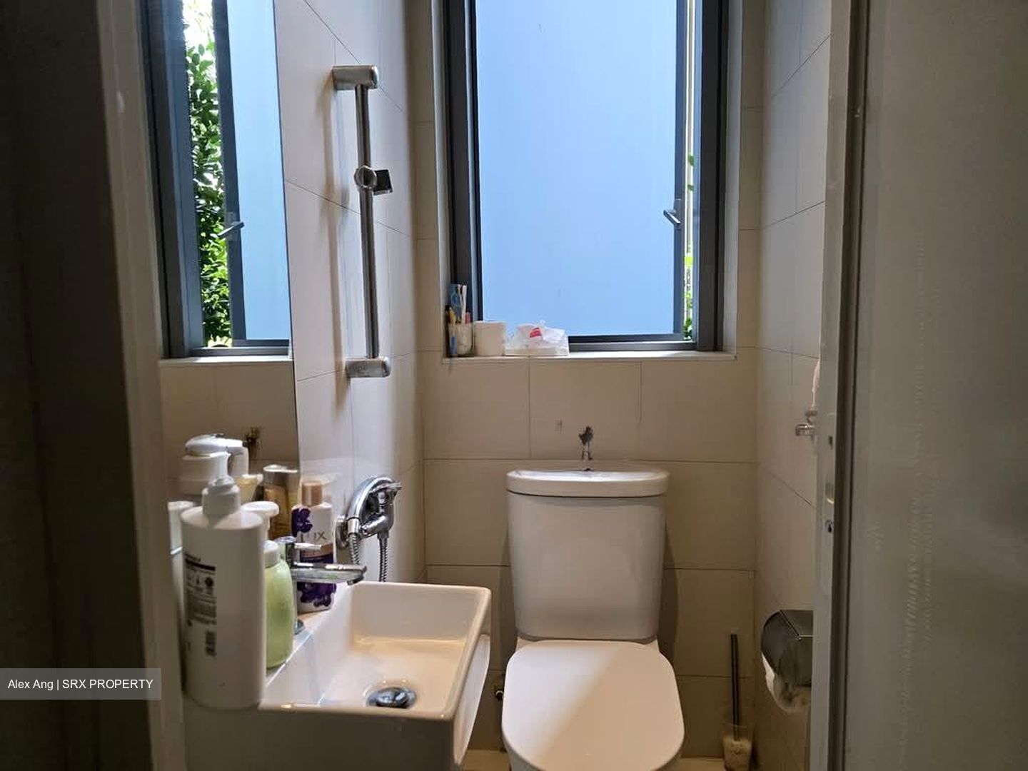 Amber Park (D15), Condominium #556145841